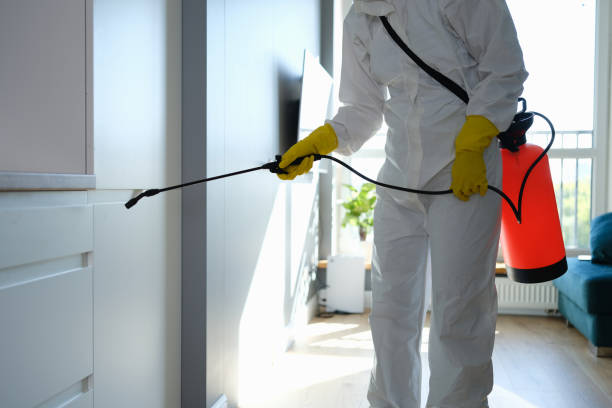 Professional Mold Remediation in Crossett, AR